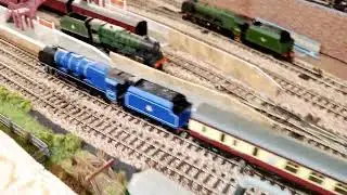 Hornby TT 120, two different blue Duchess locos.