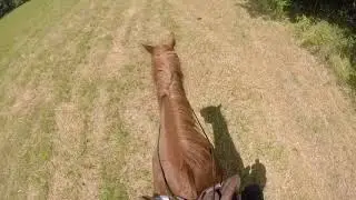helmet cam: riding in the field with my best friend