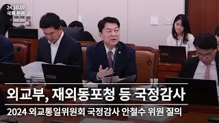 [2024 외교통일위원회 국정감사] 외교부, 재외동포청 등 국정감사 안철수 위원 질의