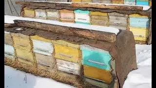 Утепление пчел на зиму