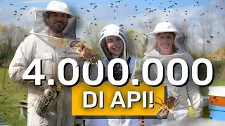 How to Become a Beekeeper from SCRATCH! 🐝