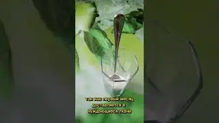 коллаген от нл