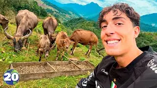 The World Is More Beautiful Here | Around The World In 80 Days - Day 20