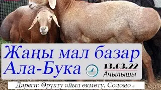 Жаңы Мал Базардын Ачылышы