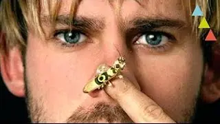 10 ANIMAIS DE ESTIMAÇÃO DOS FAMOSOS 🐻