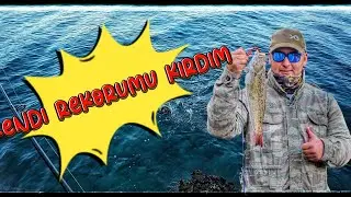 TRAKONYA. KENDİ REKORUMU KIRDIM . KIYIDAN DEV ZEHİRLİ BALIK. #balık #lrf #balıkçı