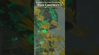 Link Meets Flux Construct! 