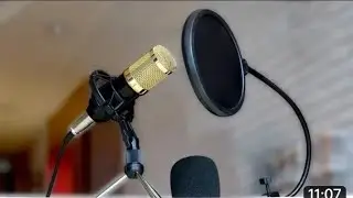 BM800 dynamic Condenser Microphone