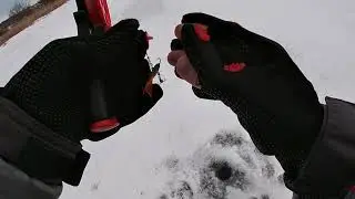 Ловля окуня на балансиры, опробывал две новые блесны.