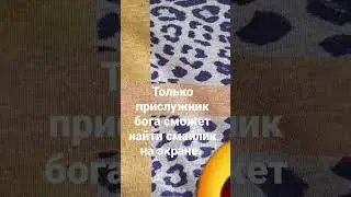 найди и напиши в комментариях