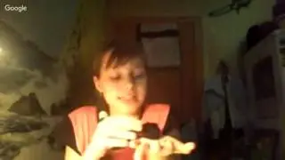 новый хомячок!!!