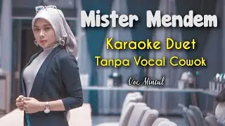 Mister Mendem Karaoke Tanpa Vocal Cowok || Voc Mintul 