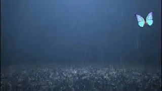Расслабляющий дождь  / Relaxing Rain