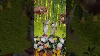 #krishnashtami #janmashtami #lordkrishna #krishna #krishnaabhishek