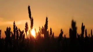 Stereopole - Everything Else (Original Mix)