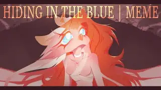 Hiding In The Blue | meme