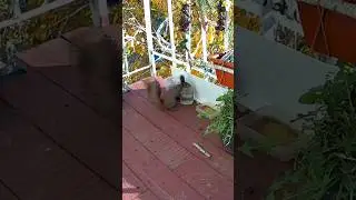 День рождения 🌱 