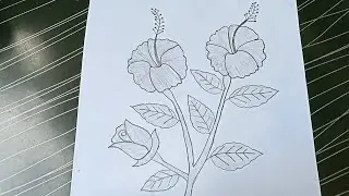 how to draw a hibiscus flower for beginners - easy drawing | step by step - farhana drawing