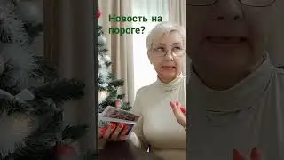 12 декабря 2023 г.