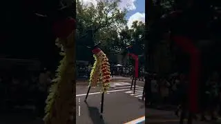 NY Carnival 2024 was a great way to close out the summer! #caribbeancarnival