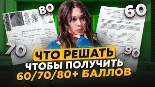 What tasks must be solved to score 60/70/80+ points on the Unified State Exam in Biology? / Tier ...