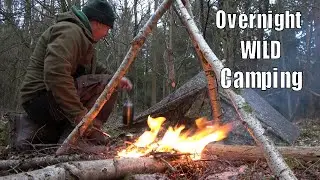 WOODLAND WILD CAMPING