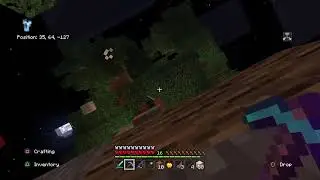 Minecraft survival Island