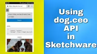 Random dog images using API in Sketchware