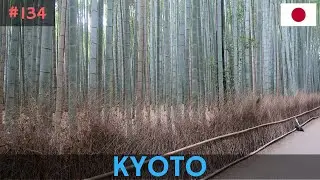 Japan 2024: Kyoto