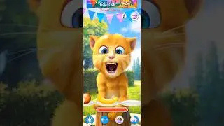 SHORTS TALKING GINGER #253