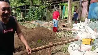 Dream Home - Day 2