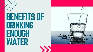 The Power of Hydration: 10 Reasons to Drink Water
