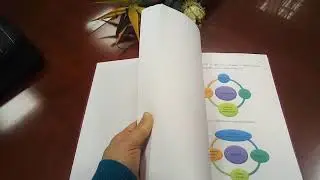 Диссертация