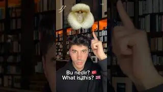 Bu nedir? | What is this? (P2) #emiqa #iemiqa #fyp #Whatisthis #BuNedir #shorts