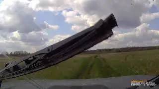 Нива по заливному лугу 2