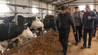 Зимовка прошла успешно