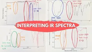 Interpreting IR Spectra | 4 Common Examples Explained