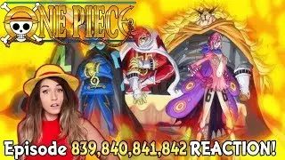 THE POWER OF GERMA 66! One Piece Episode 839, 840, 841, 842 REACTION!