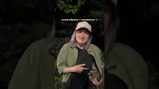 Маленький котенок уснул