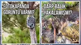 AVCILARIMIZ AV YAKALAMIŞ MI? #fotokapan #doğa #nature