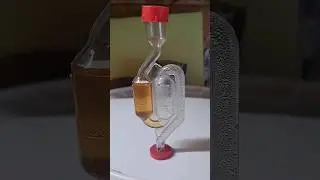Homemade beer - the easiest recipe 