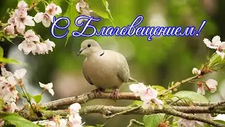 С БЛАГОВЕЩЕНИЕМ Пресвятой Богородицы! 7 Апреля! Красивая Открытка с Благовещением!