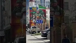 Шеф 