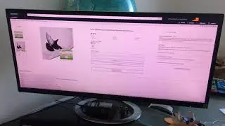 Ветеринарные препараты для птиц