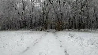 SNOWSTORM IN THE WOODS - With Calming Relaxing Nature Sounds for Sleep Meditation or Background