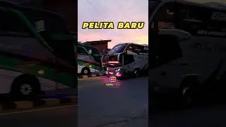 BIS NYA LAGI ADU MUKA #basuri #busmania #telolet #teloletbasuri