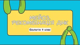 Біологія 9 клас  Мейоз  Рекомбінація ДНК