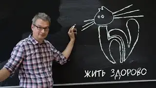 День Первокурсника ФизФак СПбГУ 2019