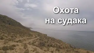 Охота на судака Актау