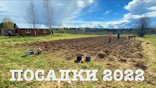 #97. Пропали! Исправляемся!:) Обзор посадок. [Жизнь на своей земле]